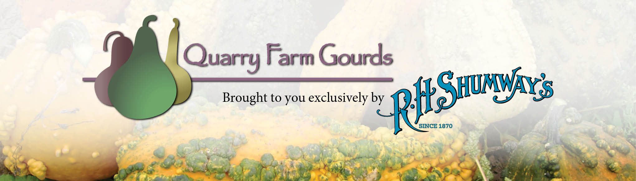 Quarry Farm Gourds
